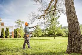 How Our Tree Care Process Works  in  Rib Mountain, WI